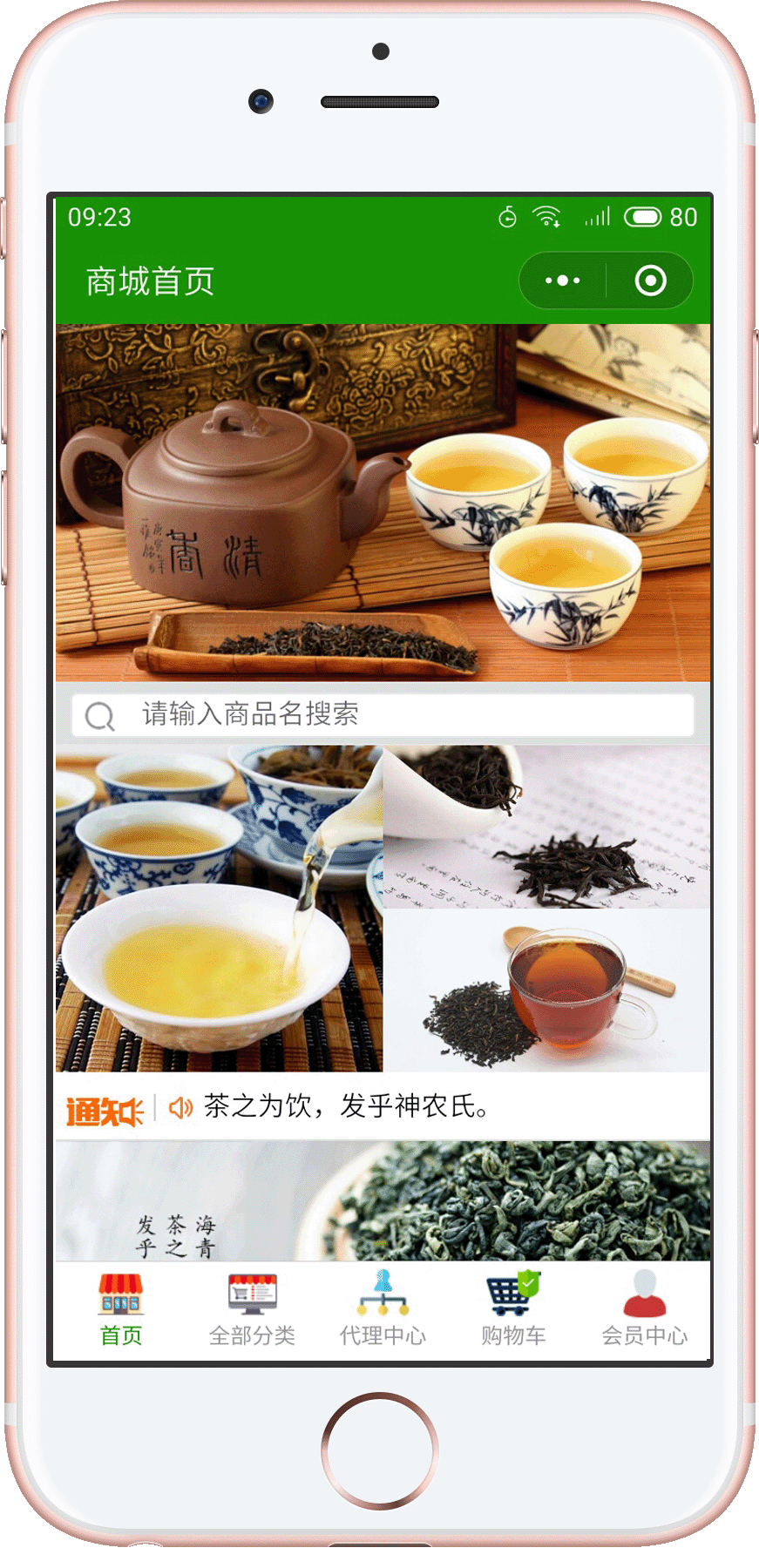 胶州海青茶案例展示最低价